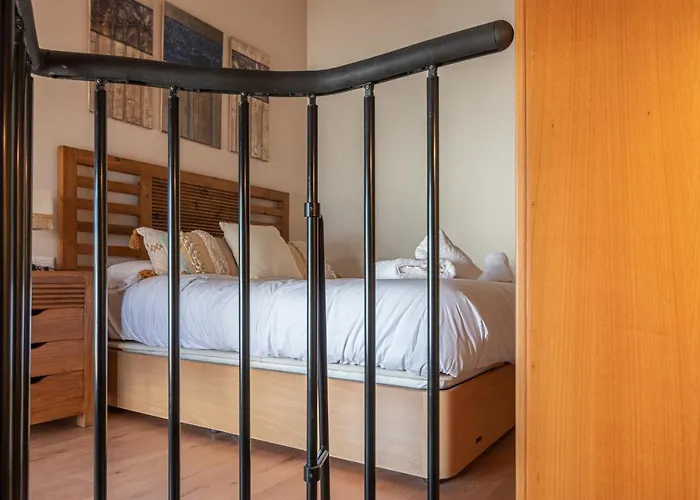 Terraza Estampa De Cádiz