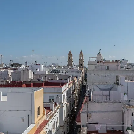 Terraza Estampa De